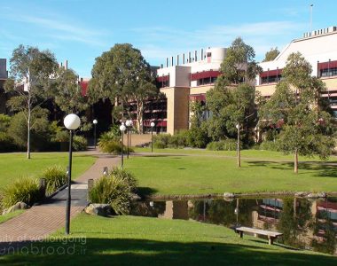 دانشگاه ولونگونگ استرالیا