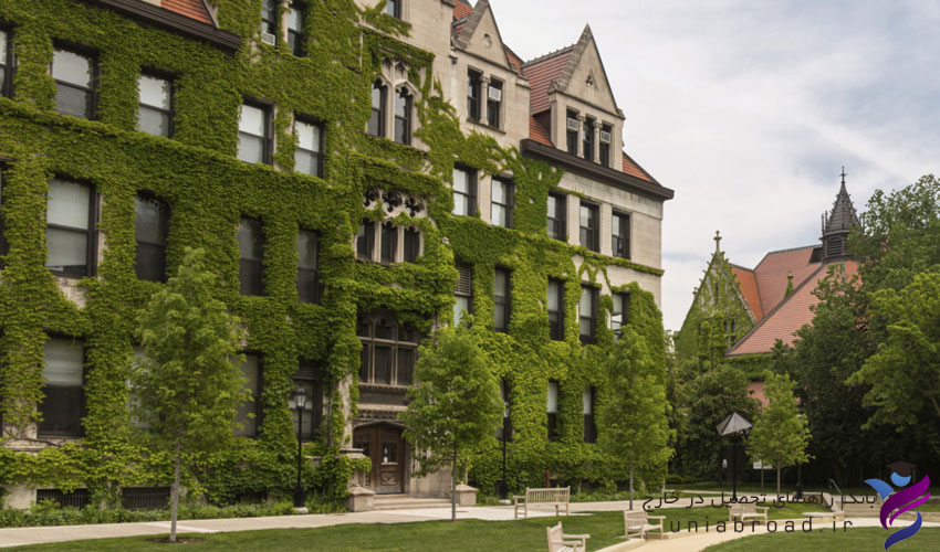 دانشگاه شیکاگو